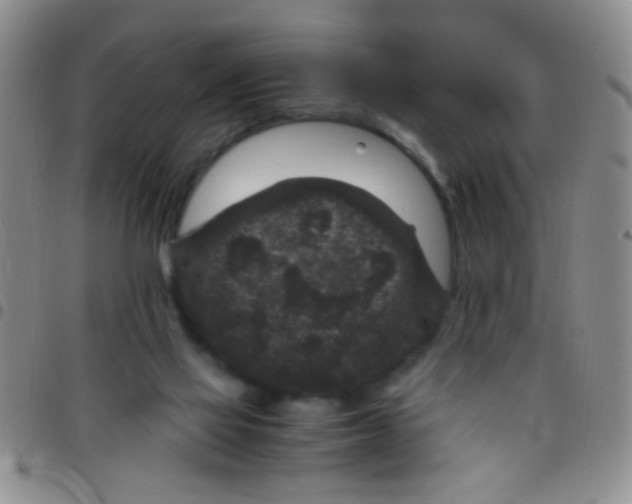 X0000097500069200803142028