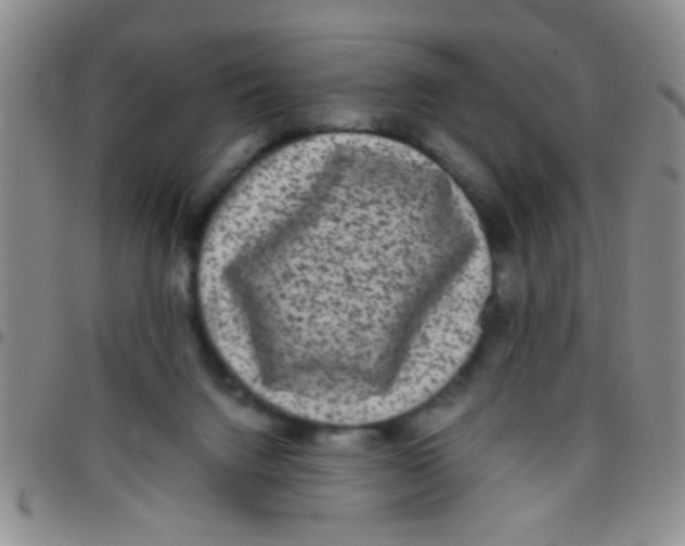 X0000097500072200803142028