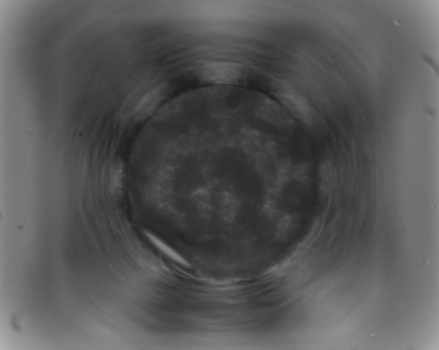 X0000097500073200803142028