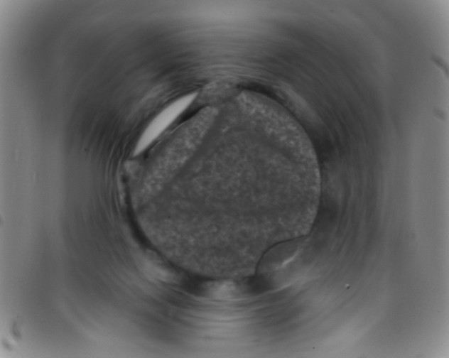X0000097500074200803142028