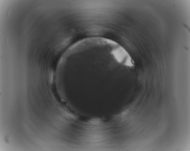 X0000097500076200803142029