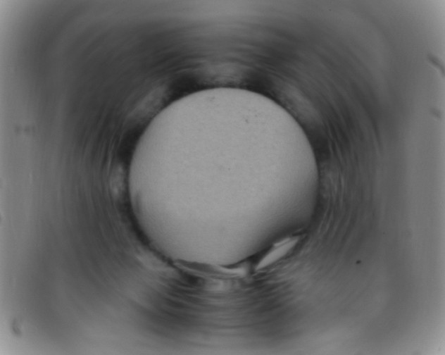 X0000097500077200803142029