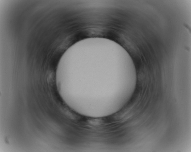 X0000097500079200803142029