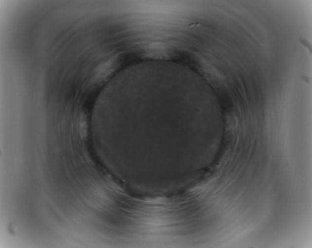 X0000097500080200803142029