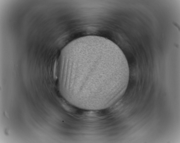 X0000097500082200803142029