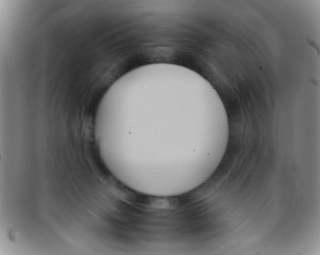X0000097500083200803142029