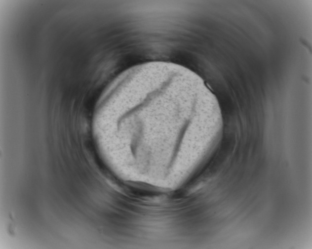 X0000097500084200803142029