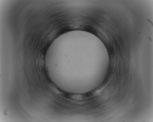 X0000097500085200803142029