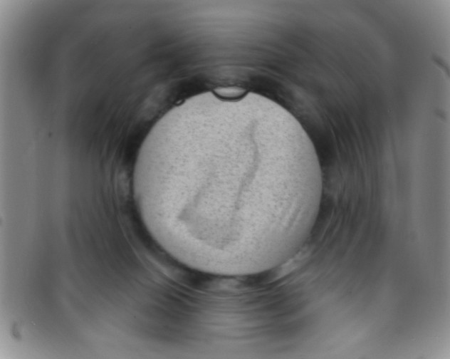 X0000097500086200803142029