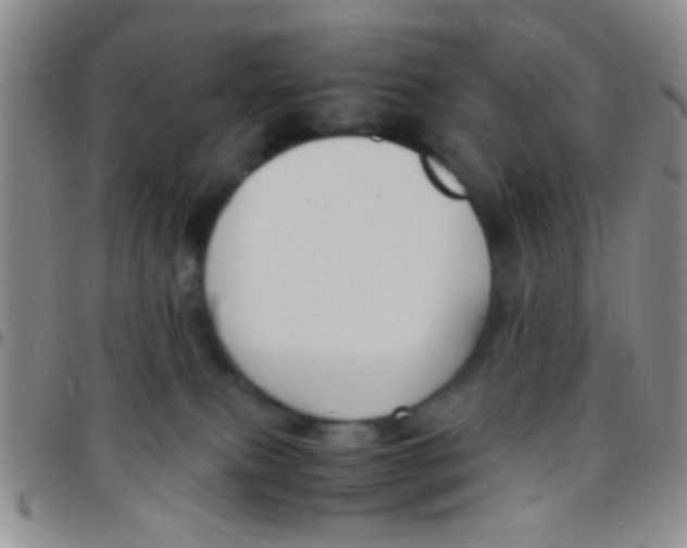 X0000097500087200803142029