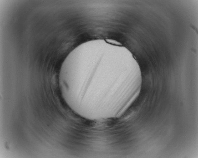 X0000097500088200803142029