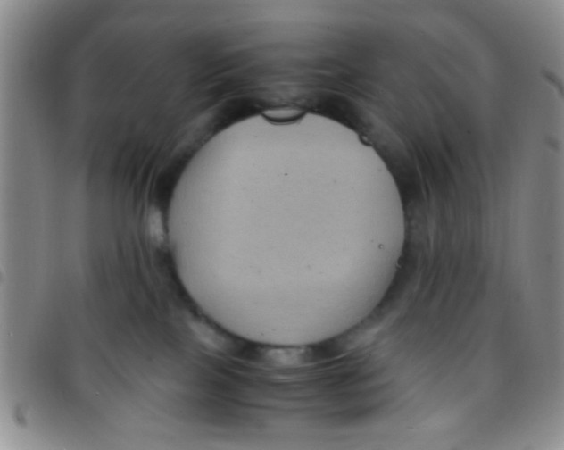 X0000097500089200803142029