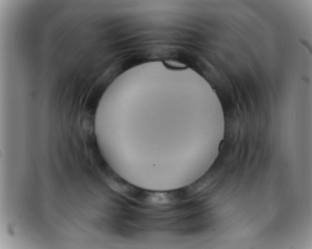 X0000097500091200803142029