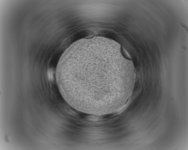 X0000097500094200803142029