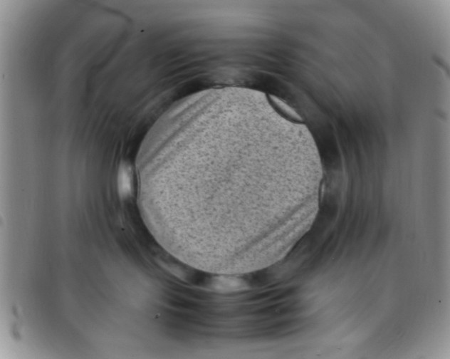 X0000097500095200803142029
