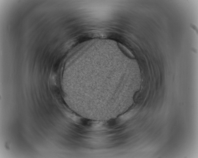 X0000097500096200803142029