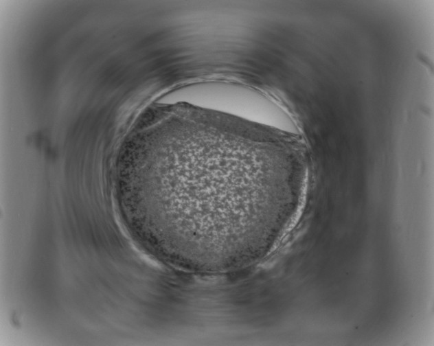 X0000097500097200803142028