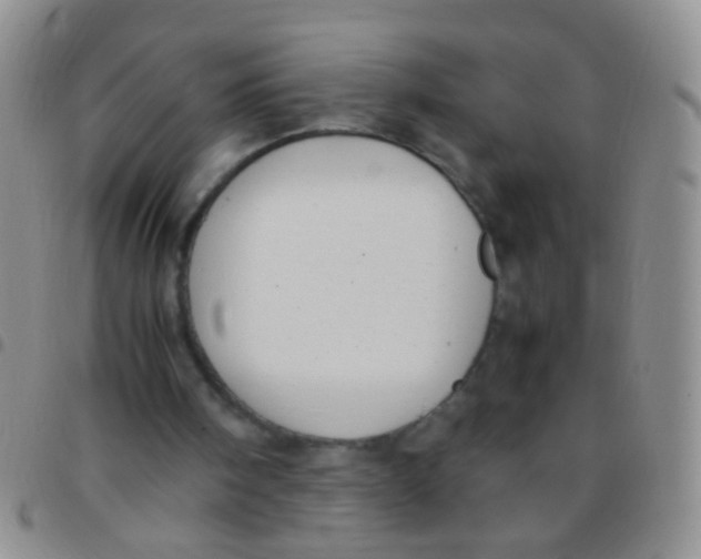 X0000097500098200803142028