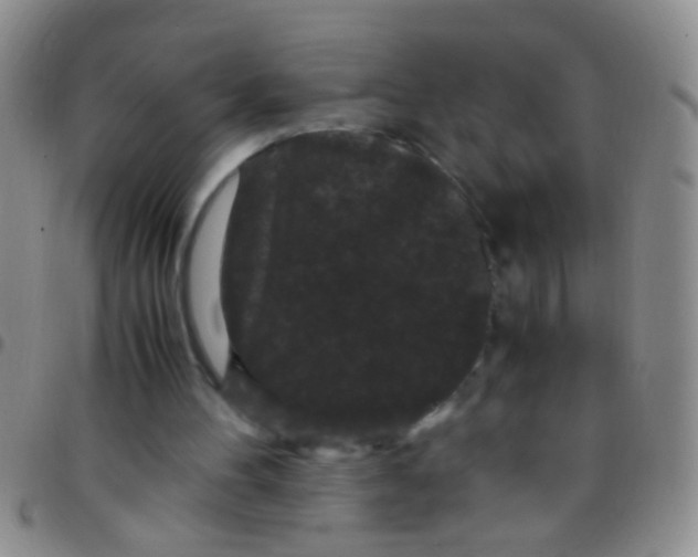 X0000097500100200803142028