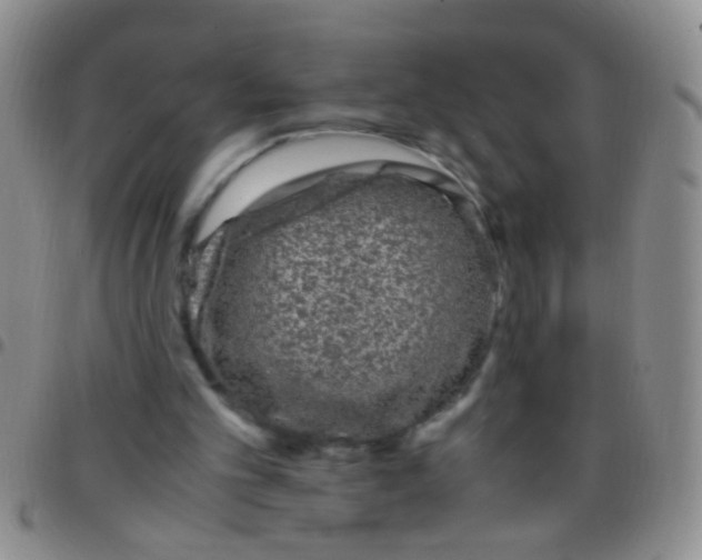X0000097500101200803142028