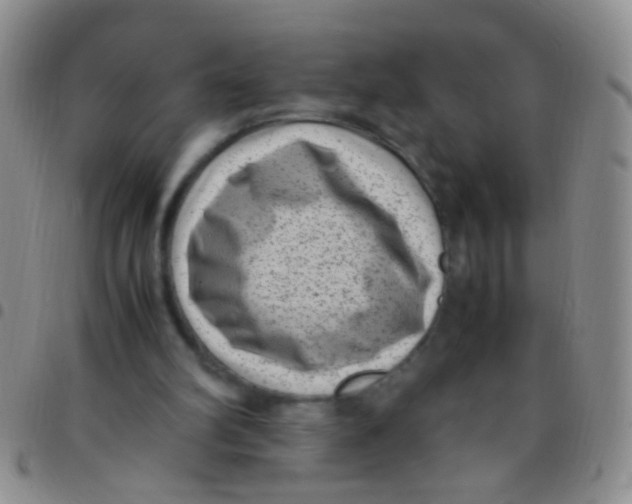 X0000097500102200803142028