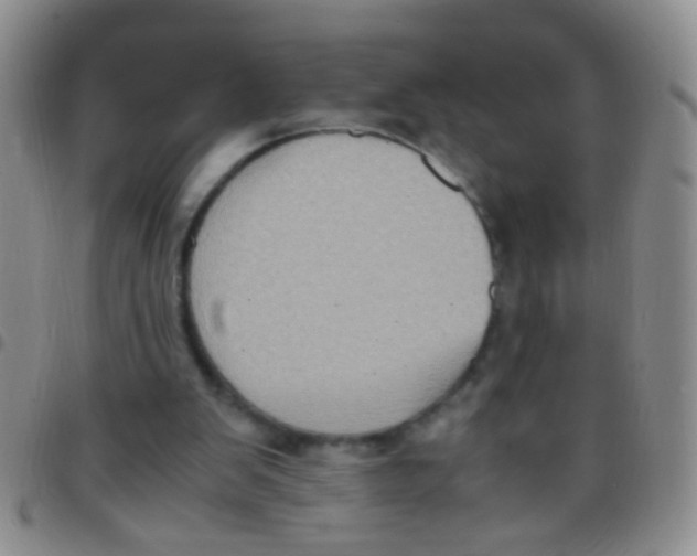 X0000097500103200803142028