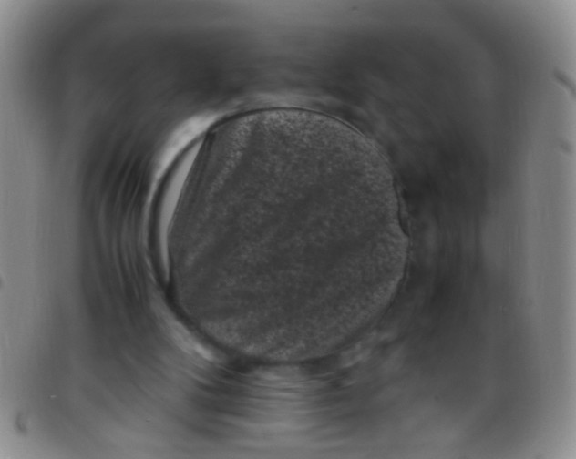 X0000097500104200803142028