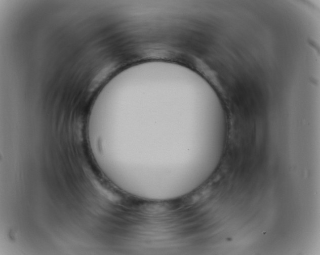 X0000097500106200803142028