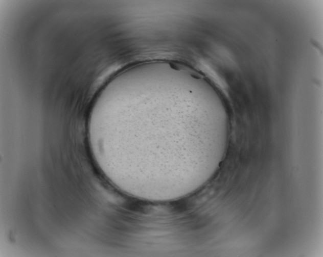 X0000097500107200803142028