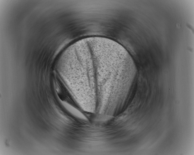 X0000097500108200803142028