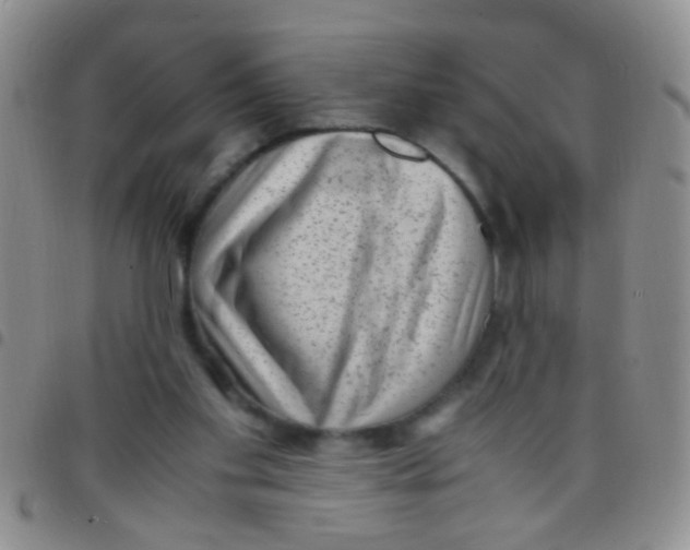 X0000097500109200803142028