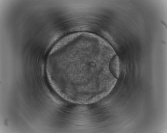 X0000097500110200803142028