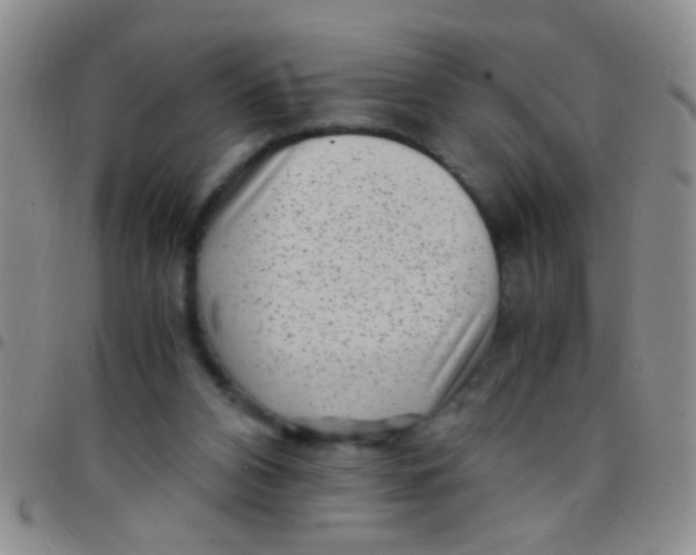 X0000097500112200803142028