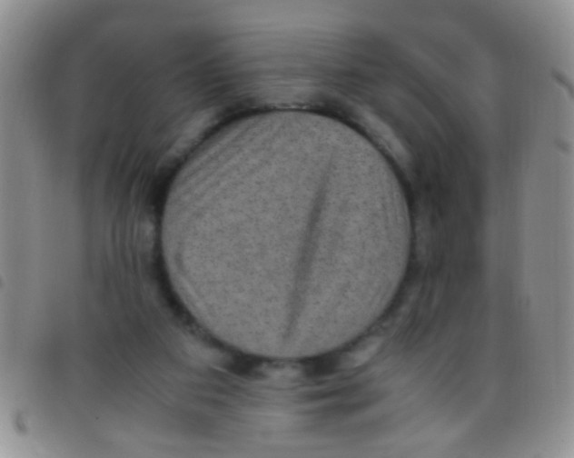 X0000097500113200803142028