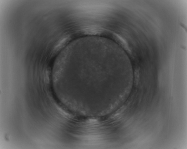 X0000097500114200803142028