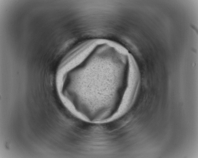 X0000097500115200803142028