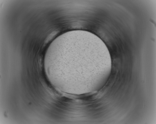 X0000097500116200803142028