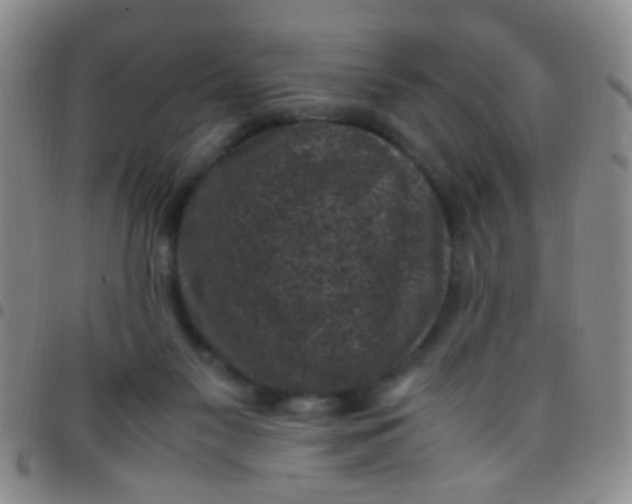 X0000097500117200803142028