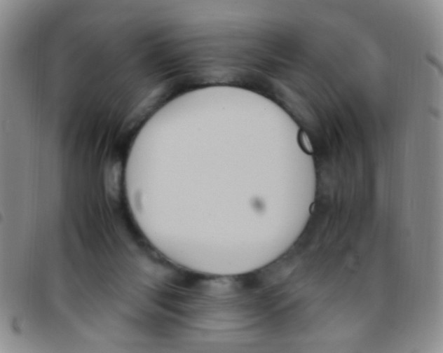 X0000097500118200803142028