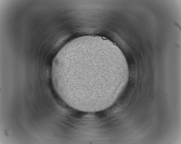 X0000097500119200803142028