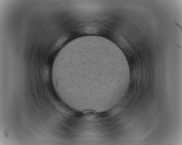 X0000097500120200803142028