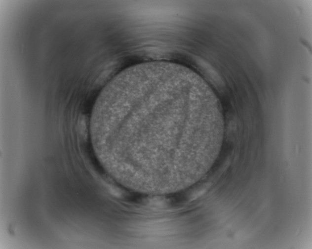 X0000097500121200803142028