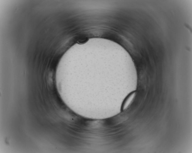 X0000097500122200803142028