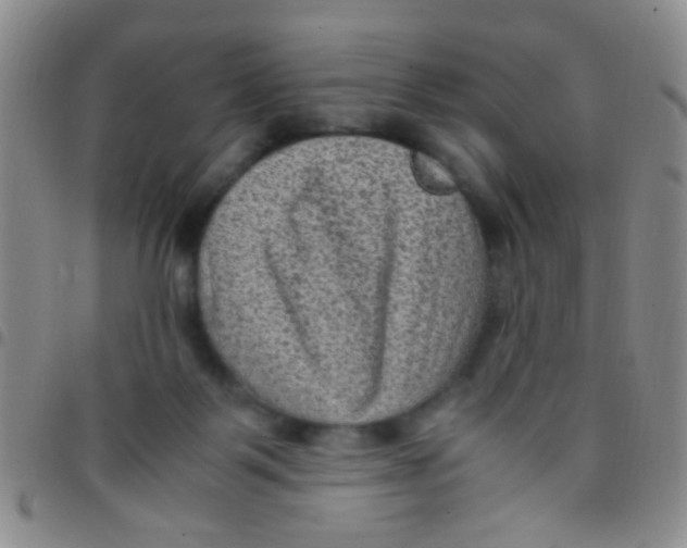 X0000097500123200803142028