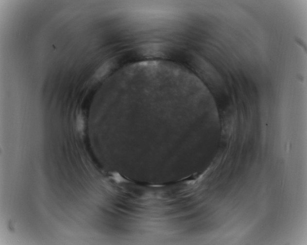 X0000097500124200803142028