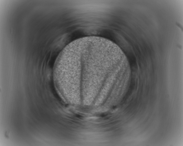 X0000097500125200803142028