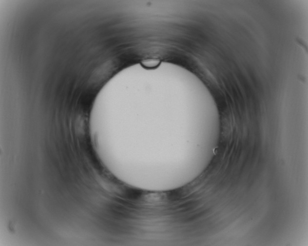 X0000097500126200803142028