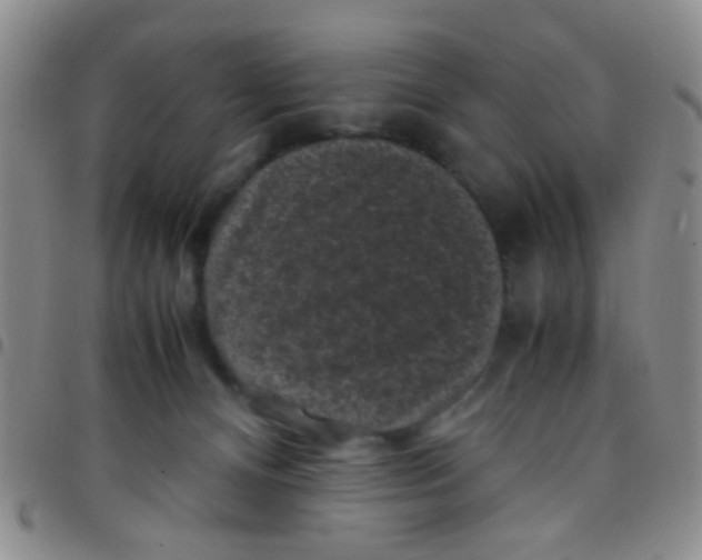 X0000097500128200803142028