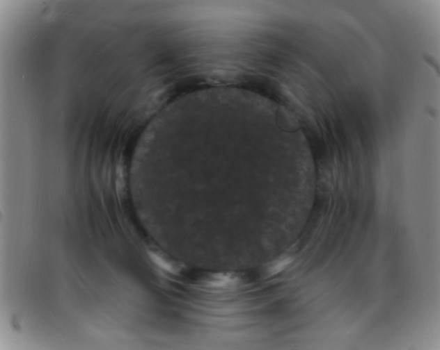 X0000097500130200803142028