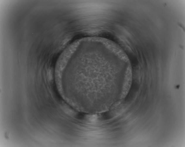 X0000097500131200803142028